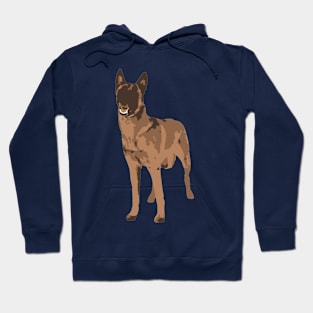 Malinois Hoodie